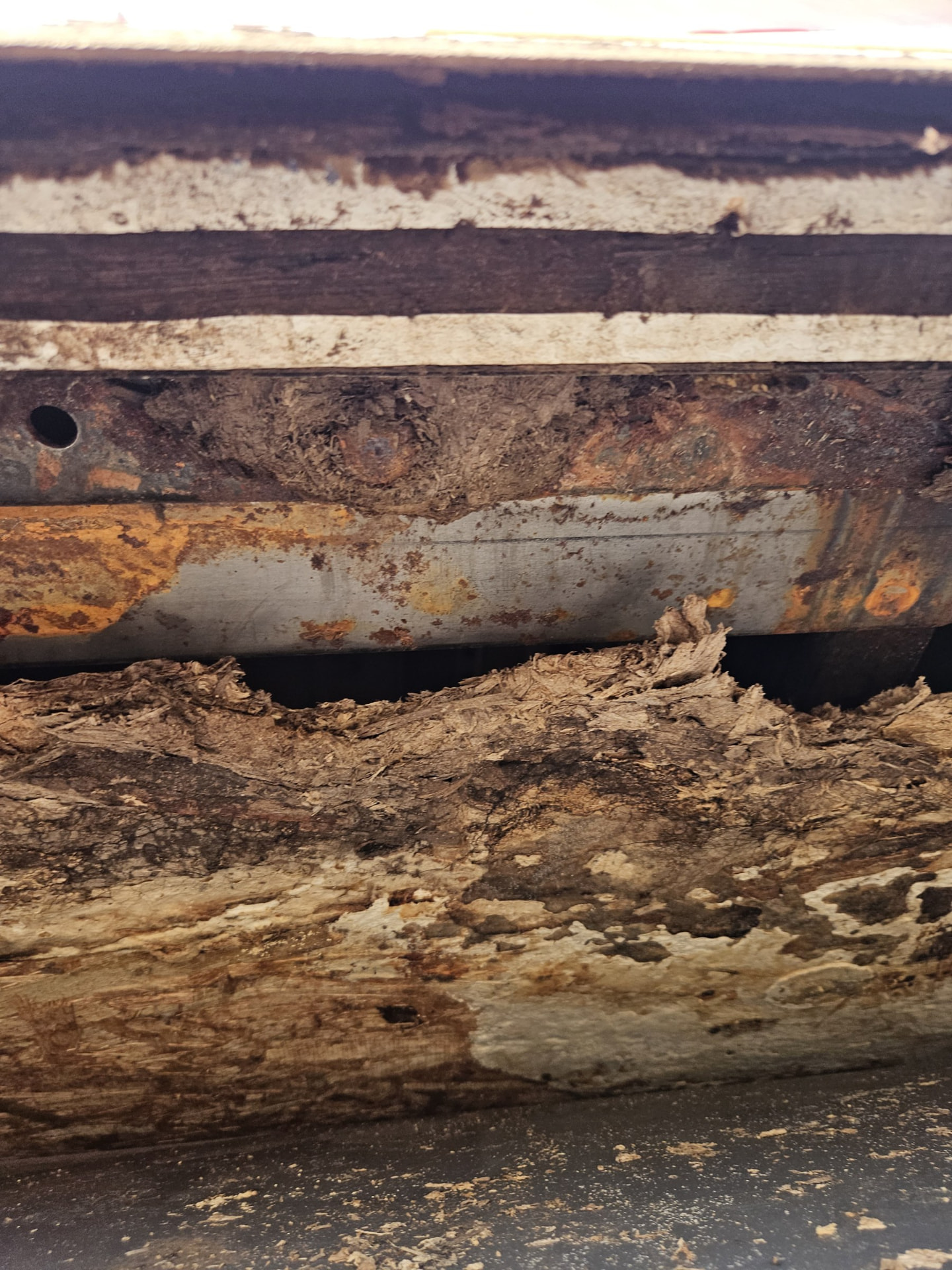 Rotted RV framing and rusted steel found under a wall